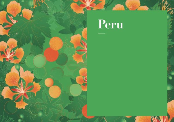 The Peru Wine Guide, the essential guide to the wines of Peru by Amanda Barnes. Including wine regions of Ica, Lima and Tacna