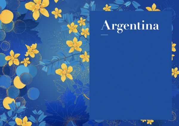 The Argentina Wine Guide by Amanda Barnes, e-book and essential guide to the wines of Argentina, Mendoza, Uco Valley, Salta, Patagonia, Lujan de Cuyo, Maipu & Beyond!