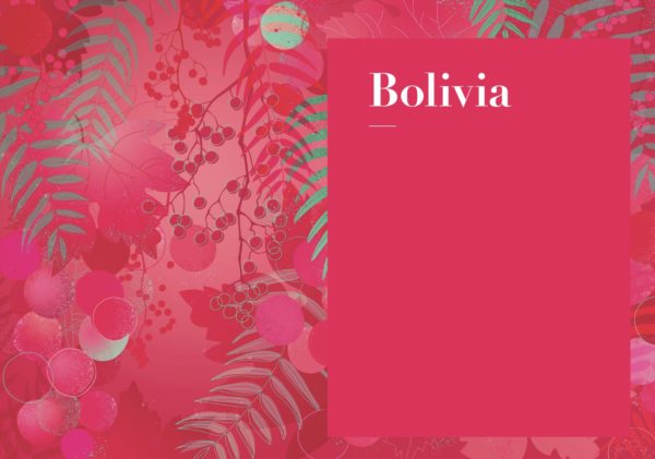 Bolivia Wine Guide by Amanda Barnes, the essential guide to wines of Bolivia. Wine region guides including Tarija, Cinti Valley, Santa Cruz. Best wines of Bolivia