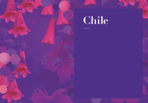 Chile Wine Guide: Essential guide to the wines of Chile. E-book by Amanda Barnes. Colchagua, Limari, Casablanca, San Antonio, Itata, Maule, Maipo and More