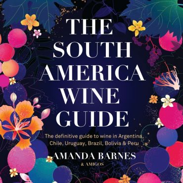 South American Wine Guide ebook