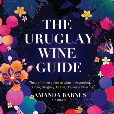 The Brazil Wine Guide - E book - South America Wine Guide