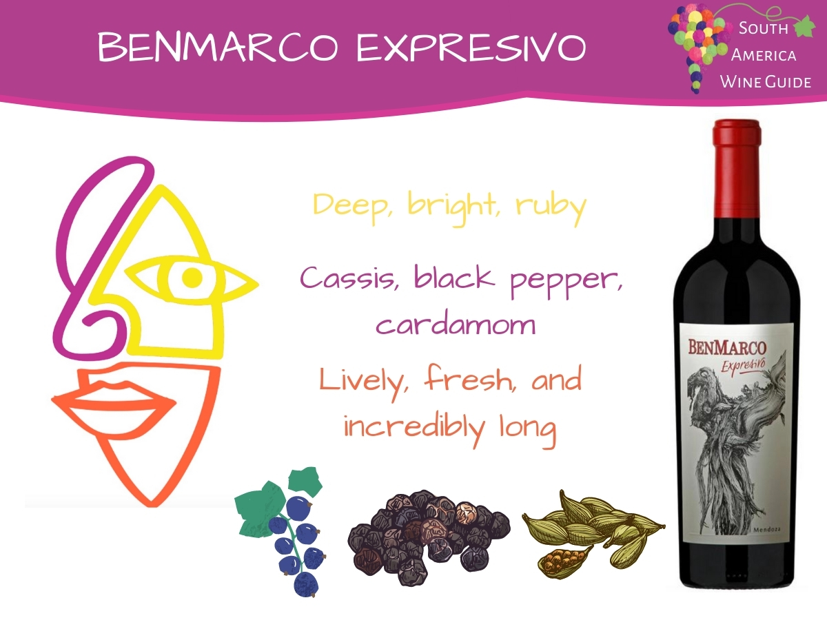 Benmarco Expresivo Malbec Cabernet Franc from Susana Balbo Wines, wine tasting note