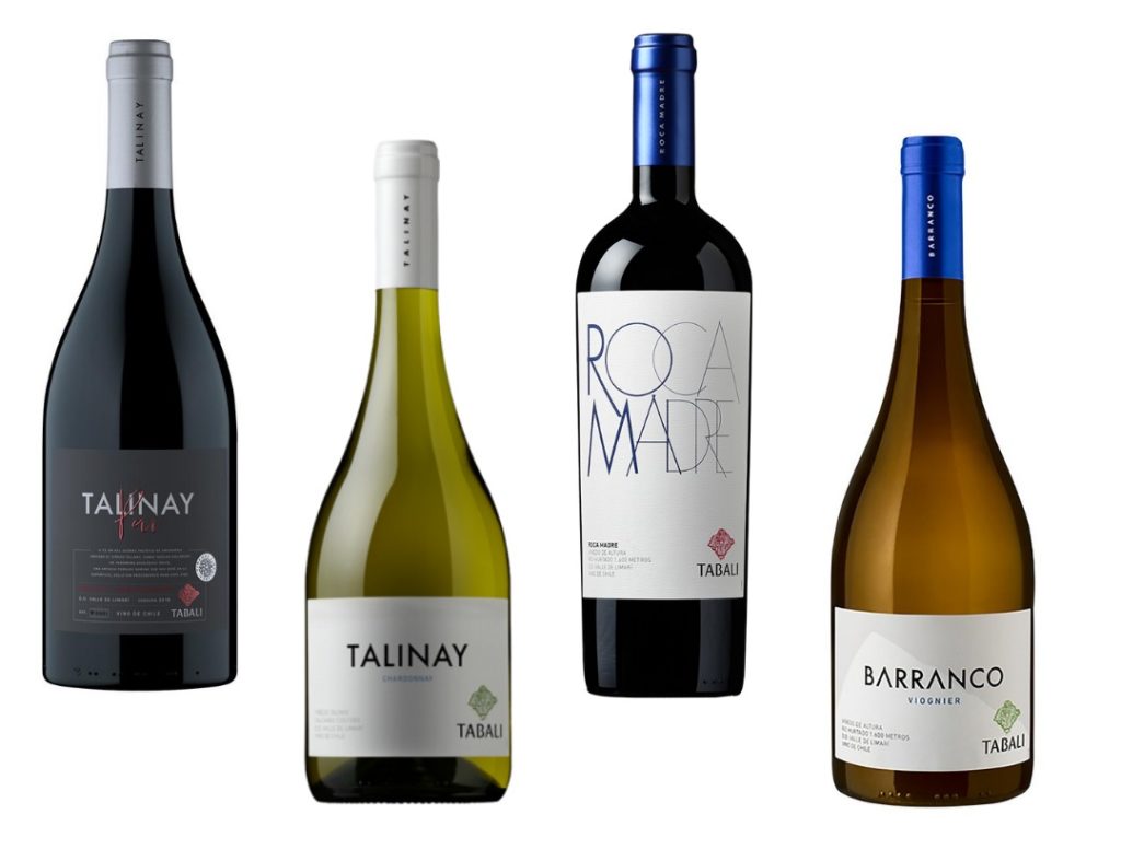 Talinay Pai, Talinay Chardonnay, Roca Madre Malbec, Barranca Viognier. Tasting notes of Vina Tabalí wines from Limarí, Chile. Interview with felipe muller winemaker
