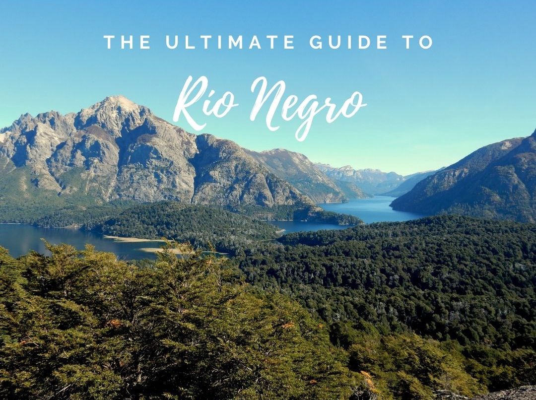 Río Negro wine region guide, Argentina wine guide