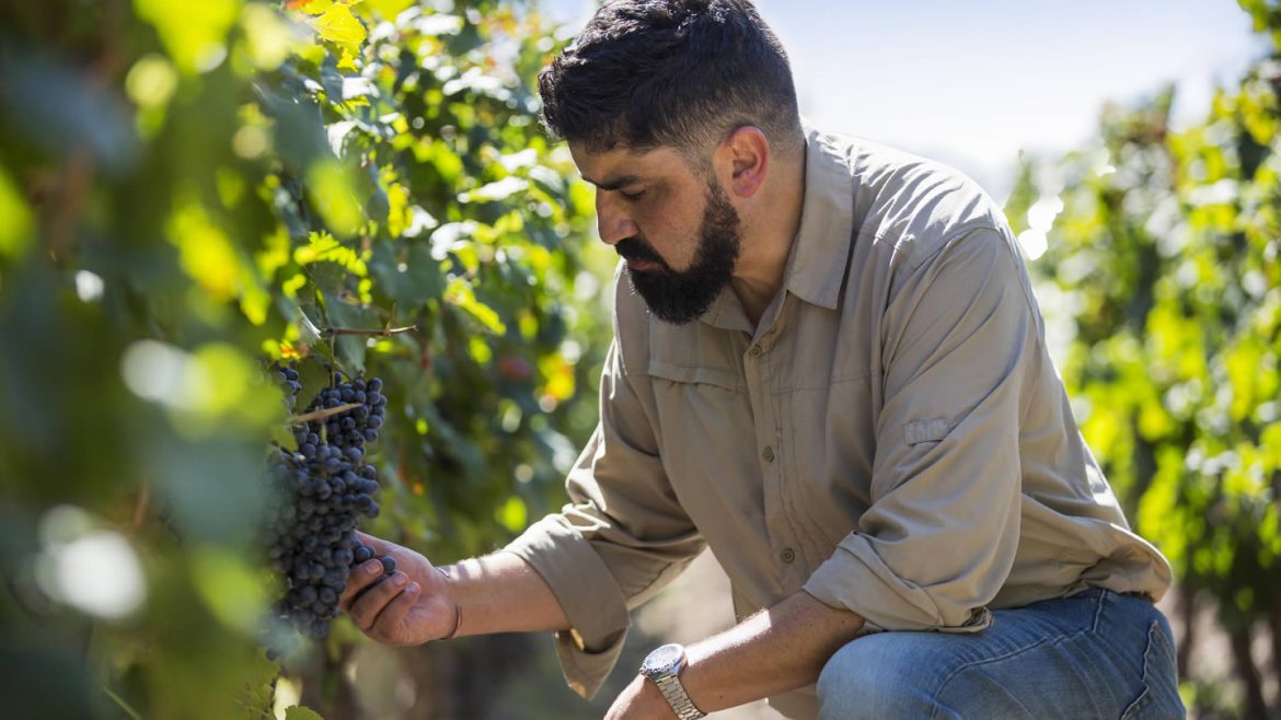 Karim Mussi winemaker interview, Argentina. Uco Valley