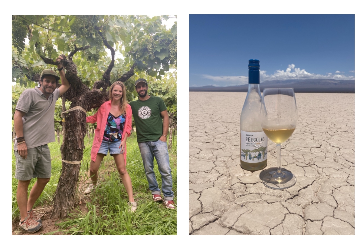 guide to the mountain wines and wine region of Barreal in Calingasta in San Juan, Argentina