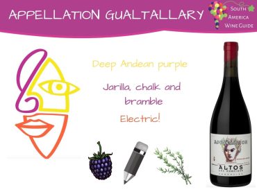Appellation Gualtallary tasting note. 100% Malbec wine from Altos Las Hormigas winery in Uco Valley, Mendoza