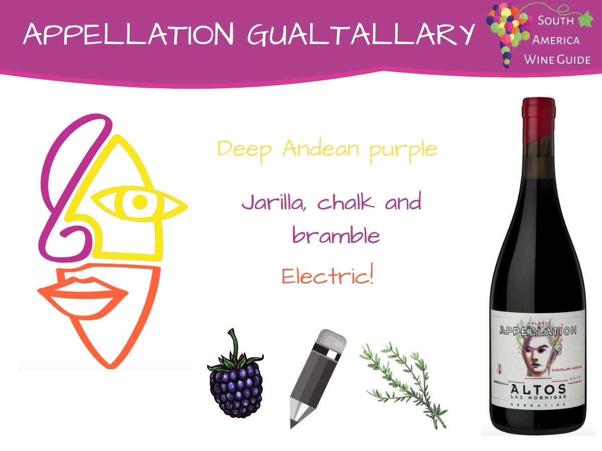 Appellation Gualtallary tasting note. 100% Malbec wine from Altos Las Hormigas winery in Uco Valley, Mendoza
