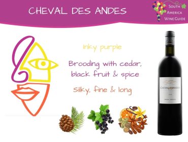 Cheval des Andes wine tasting note.