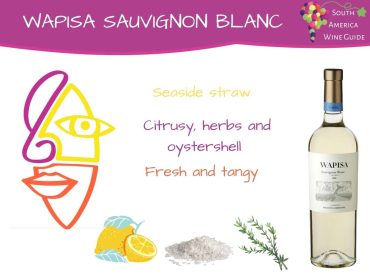 Wapisa Sauvignon Blanc tasting note. Sauvignon Blanc wine from Wapisa winery in Rio Negro, a new coastal terroir in Argentina