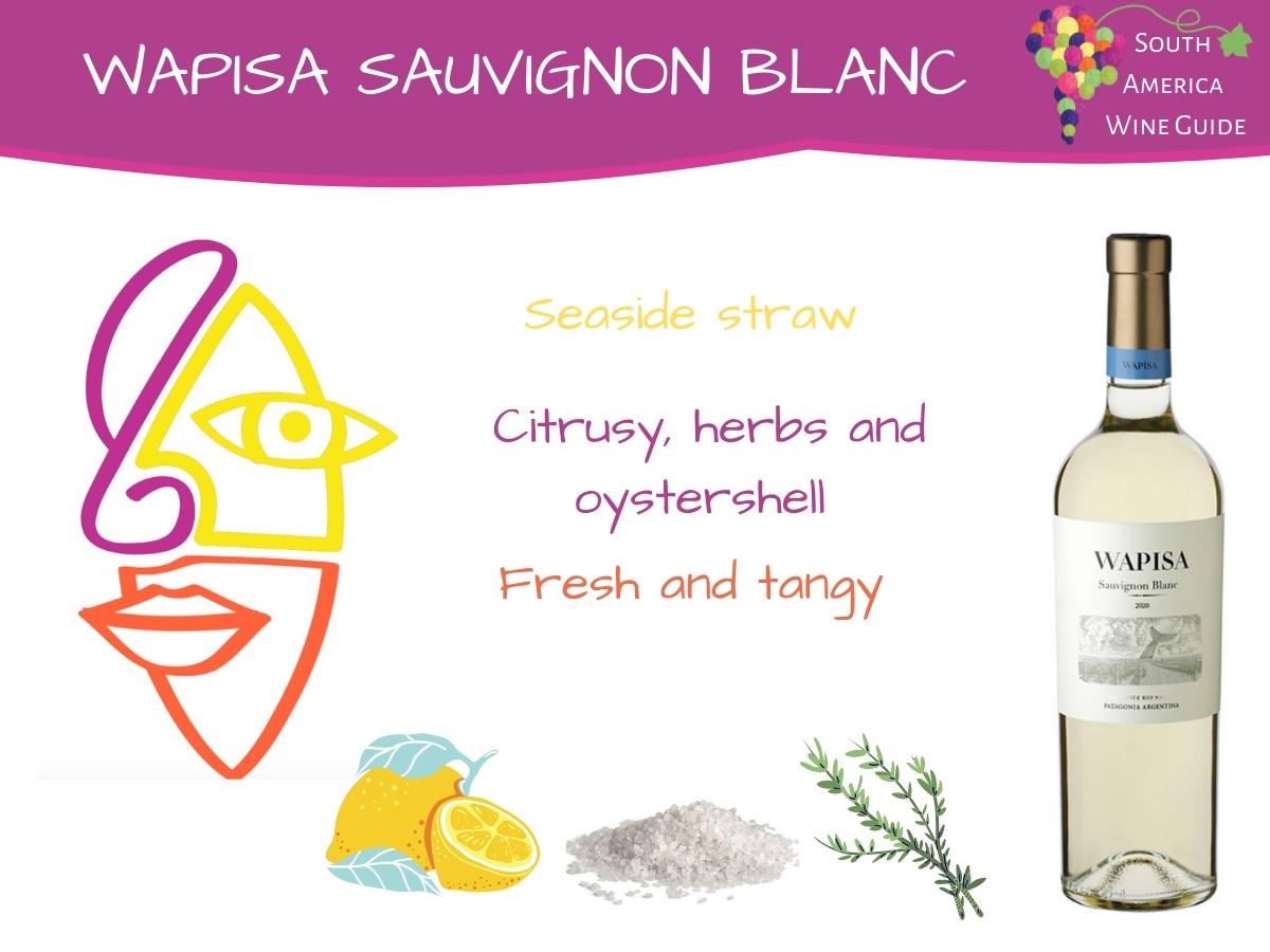 Wapisa Sauvignon Blanc tasting note. Sauvignon Blanc wine from Wapisa winery in Rio Negro, a new coastal terroir in Argentina