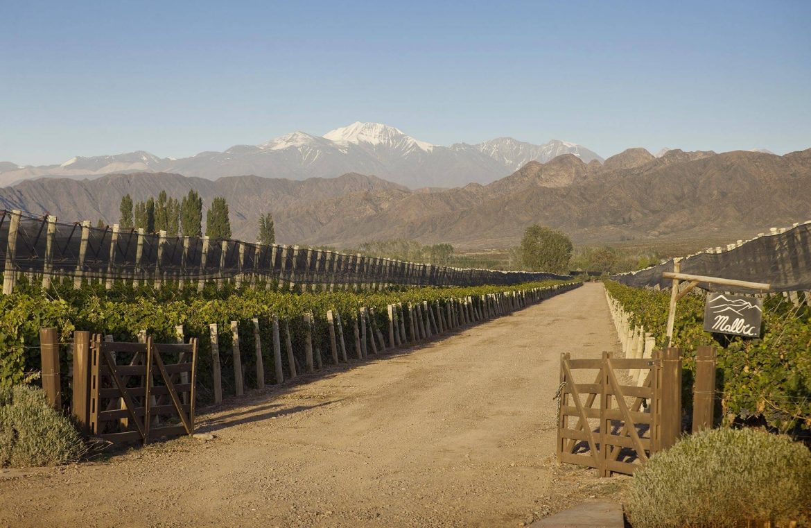 Guide to the wineries in Argentina. Cheval des Andes joint venture between Château Cheval Blanc in Bordeaux and Terrazas de los Andes in Mendoza