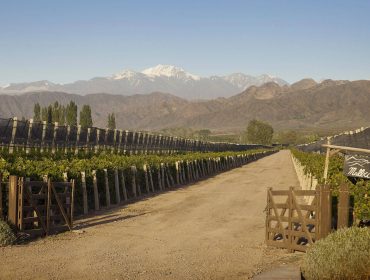 Guide to the wineries in Argentina. Cheval des Andes joint venture between Château Cheval Blanc in Bordeaux and Terrazas de los Andes in Mendoza