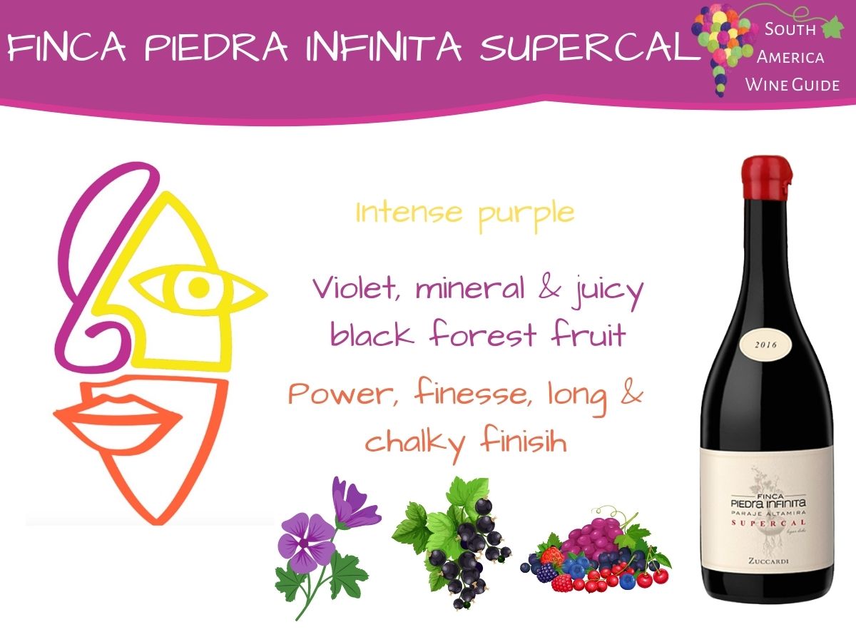 Finca Piedra Infinita Supercal tasting note by Amanda Barnes for the South America Wine Guide
