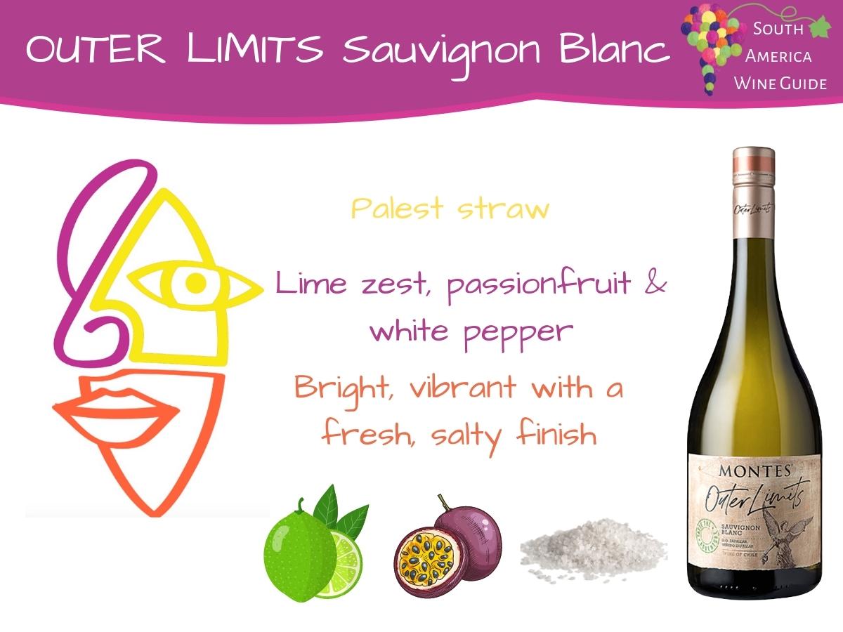 Outer Limits Sauvignon Blanc tasting note by Amanda Barnes for the South America Wine Guide
