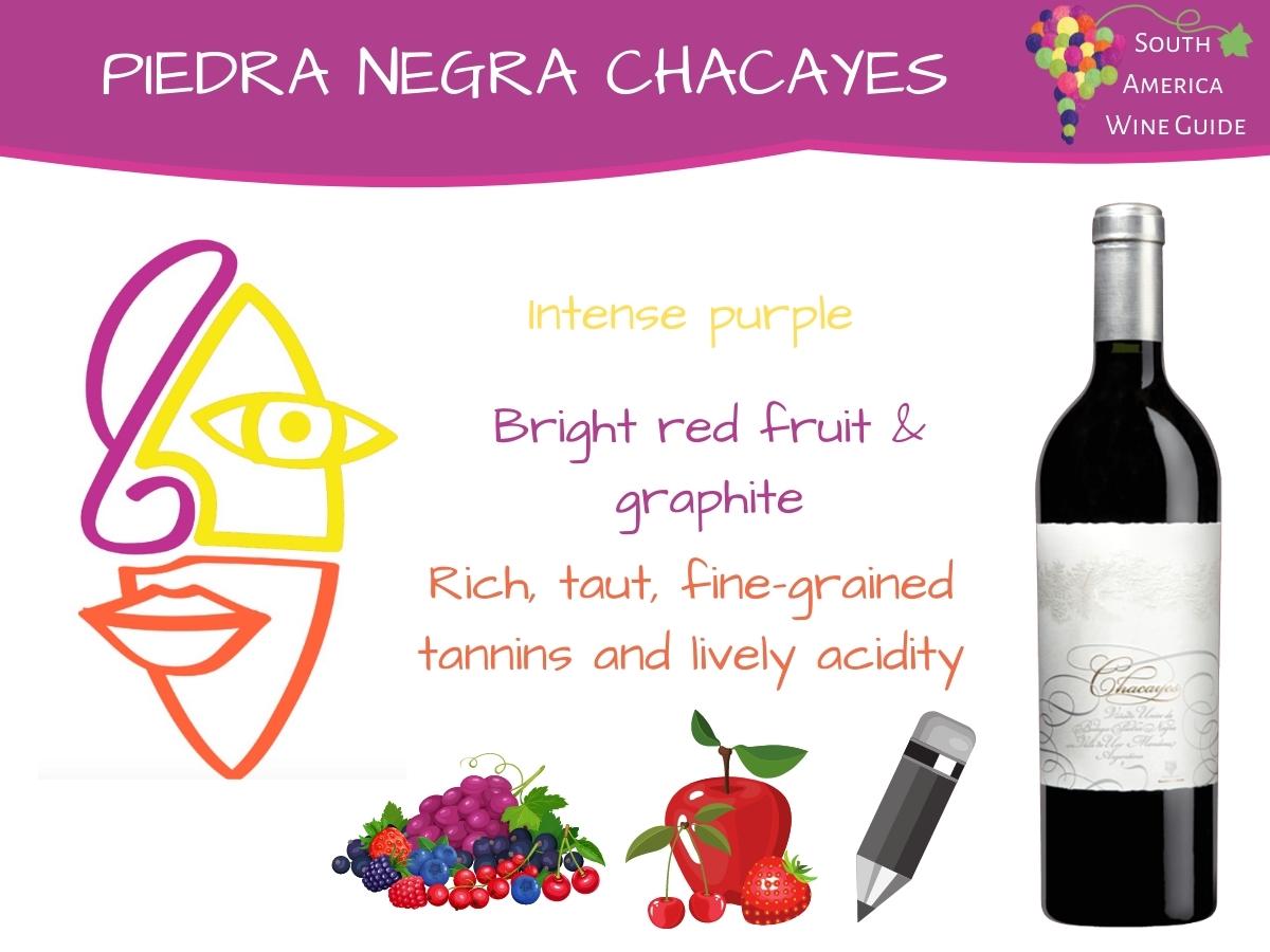 Piedra Negra Chacayes tasting note by Amanda Barnes for the South America Wine Guide