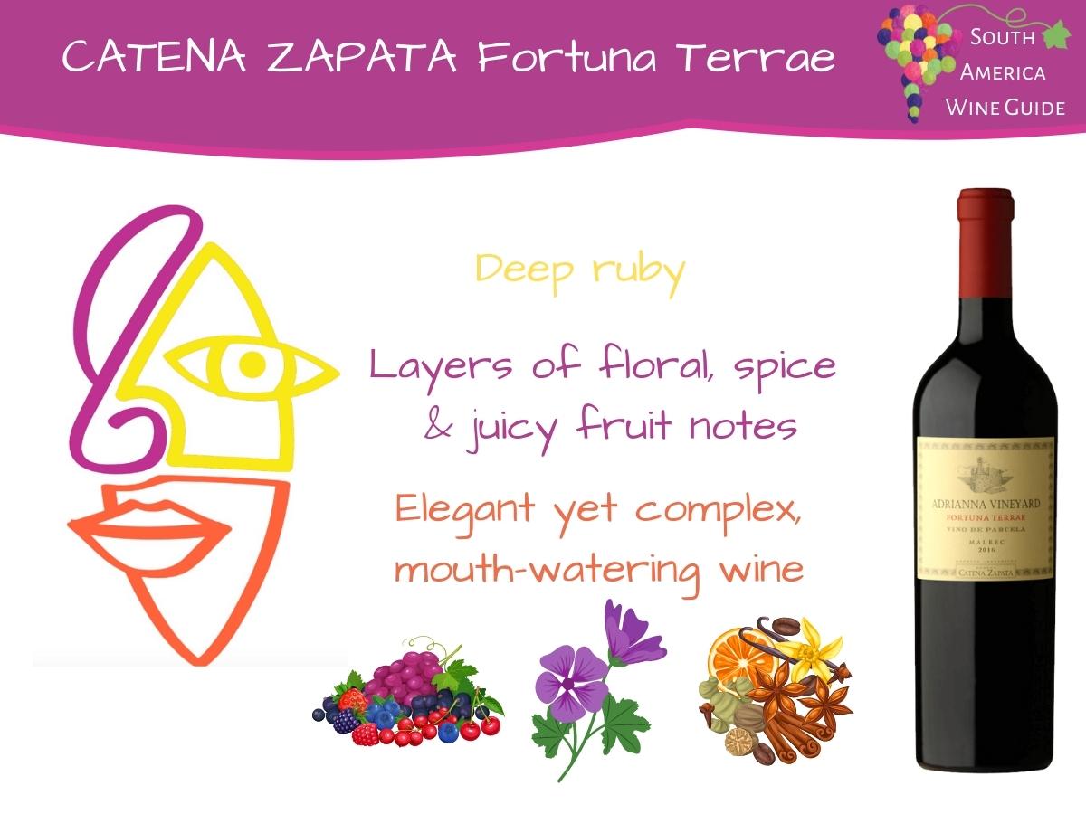 Catena Zapata Adrianna Vineyard Fortuna Terrae tasting note by Amanda Barnes for the South America Wine Guide