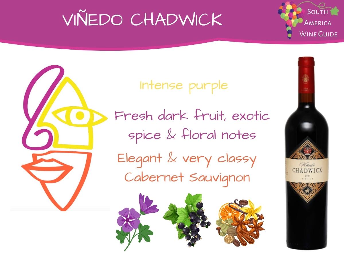 Viñedo Chadwick Cabernet Sauvignon tasting note by Amanda Barnes for the South America Wine Guide