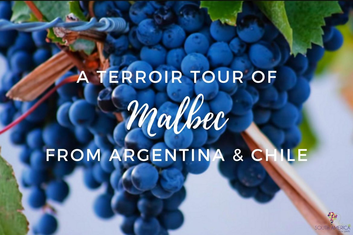 A terroir tour of Malbec wine from Argentina and Chile to celebrate on Malbec Day, April 17