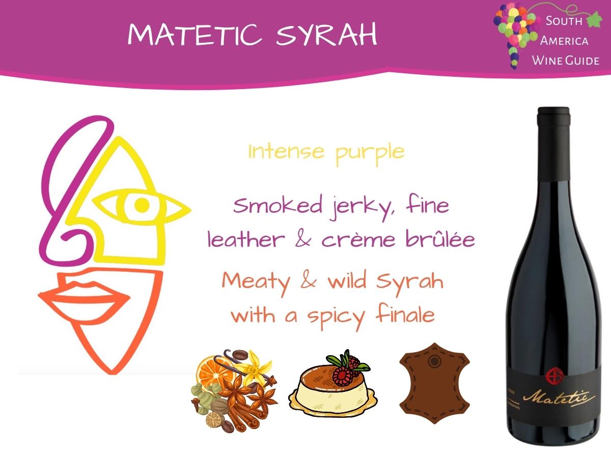 Matetic Syrah tasting note by Amanda Barnes for the South America Wine Guide