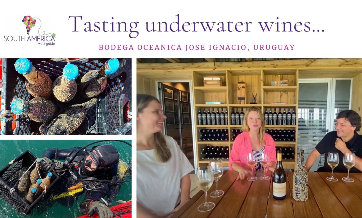 Underwater wines of Ultramar project of Bodega Oceanico Jose Ignacio in Maldonado Uruguay, a guide to Uruguayan wine and Albarino