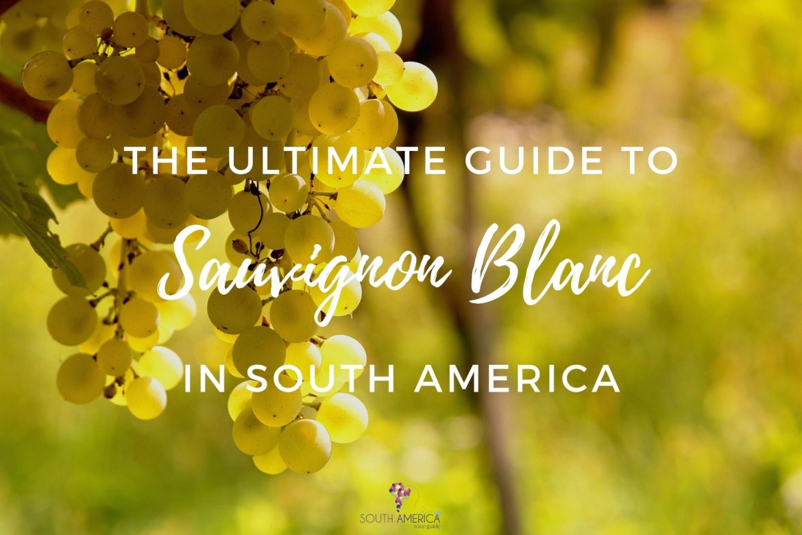 Ultimate guide to Sauvignon Blanc in South America: Chile and Argentina. International Sauvignon Blanc Day May 6