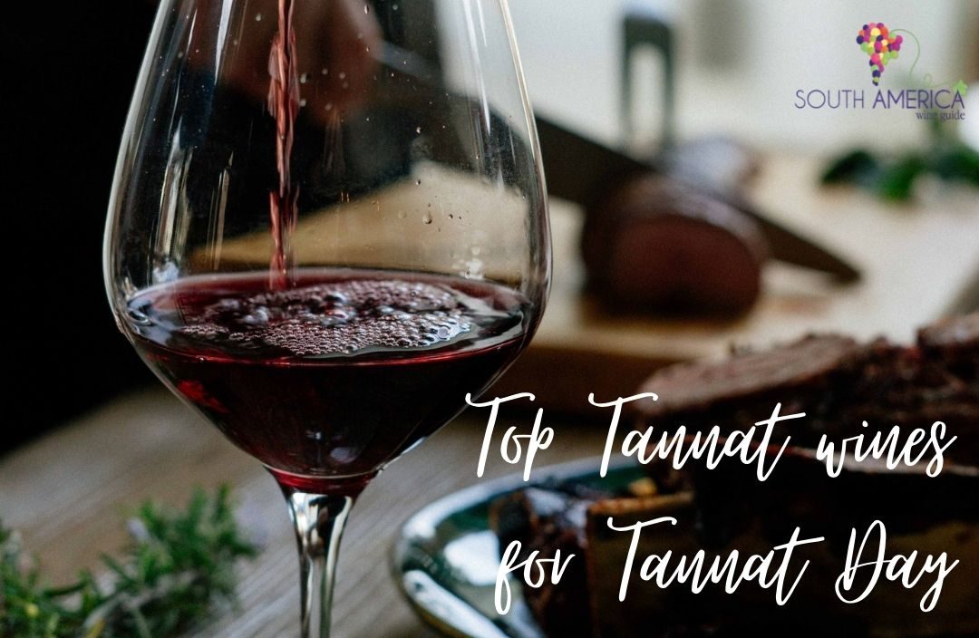 best Uruguayan Tannat wines to try for Tannat day, celebrate uruguayan tannat with these great wines