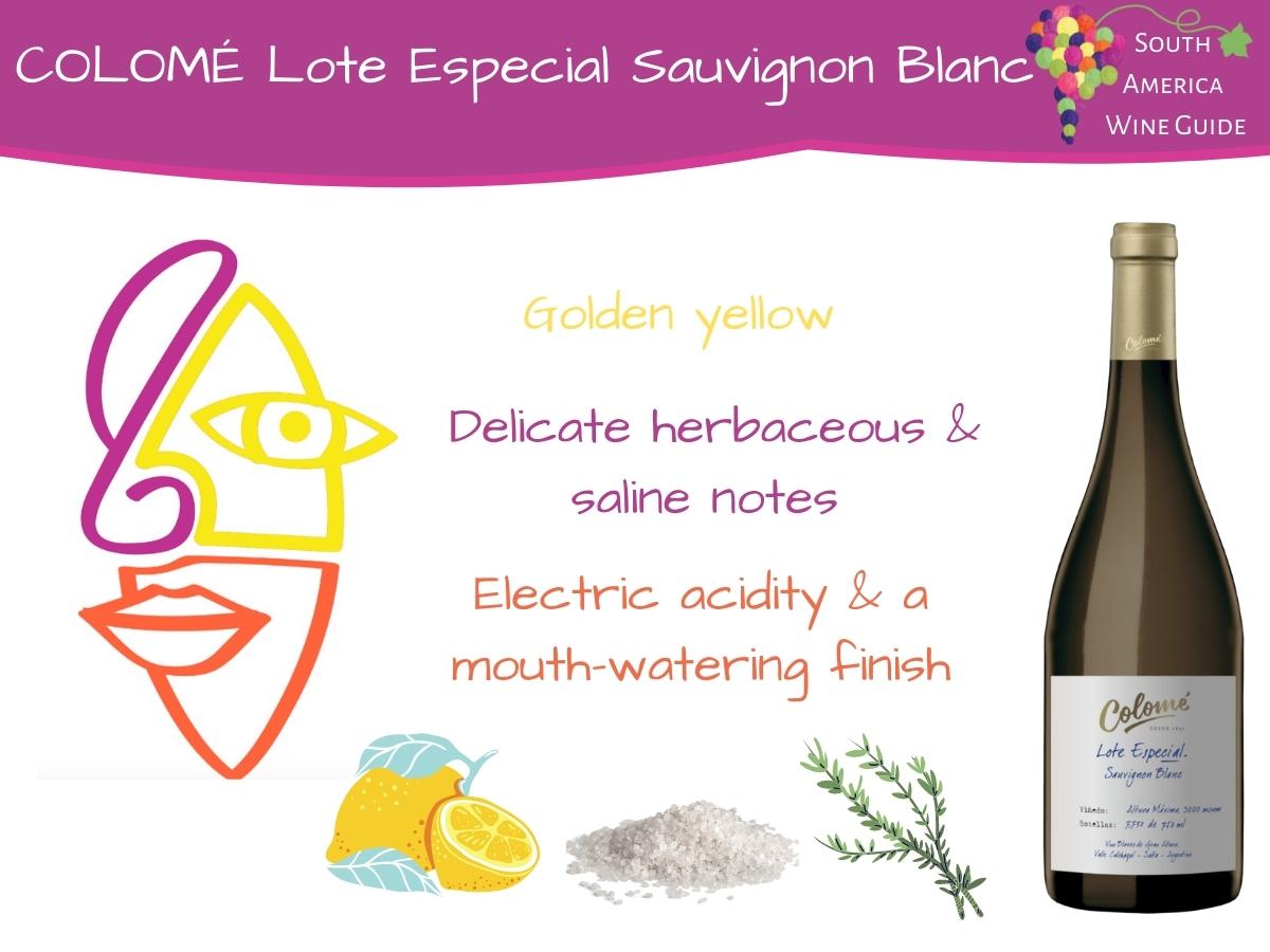 Colome Lote Especial Sauvignon Blanc. Tasting note by Amanda Barnes