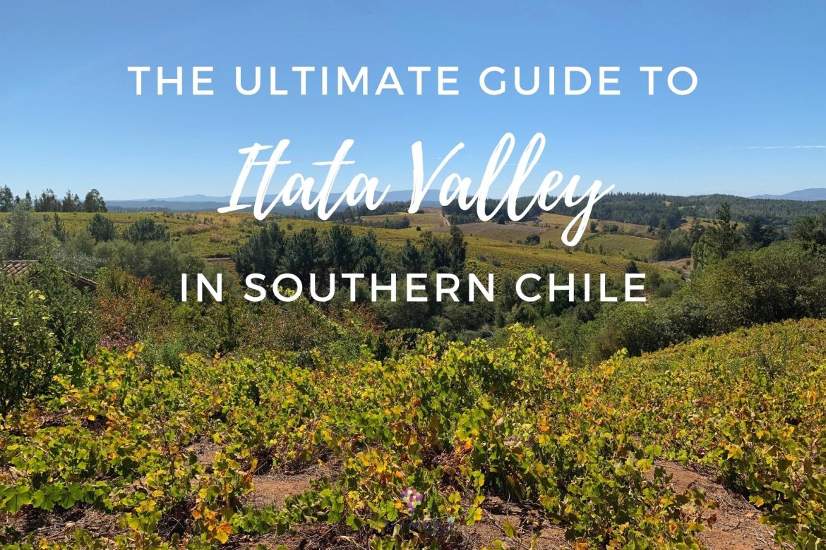 discover Itata wine region in Chile with South America Wine Guide by Amanda Barnes
