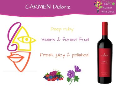Carmen Delanz wine tasting note by Amanda Barnes