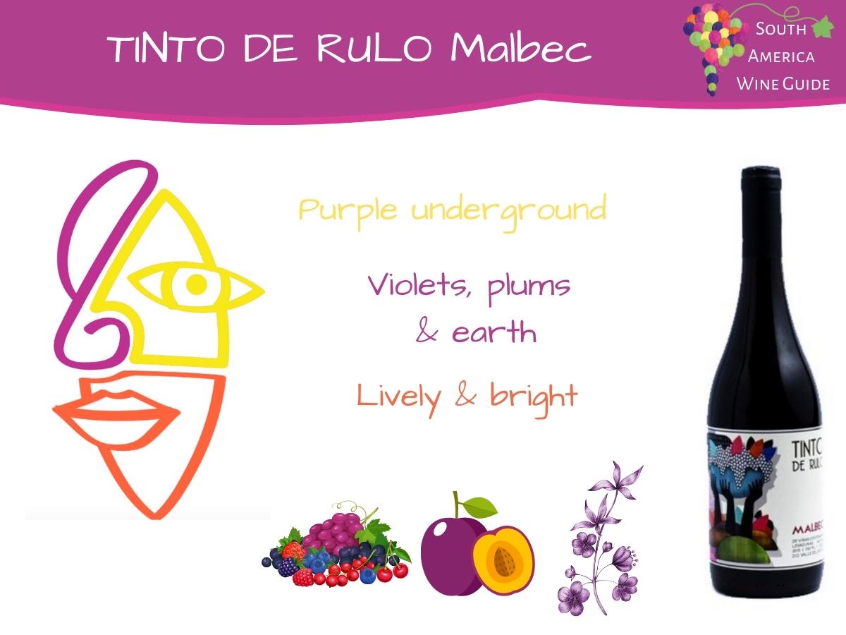 Tinto de Rulo made with grapes from old-vine Malbec hidden away in San Rosendo, Chile by winemakers Jaime Pereira and Claudio Contreras.