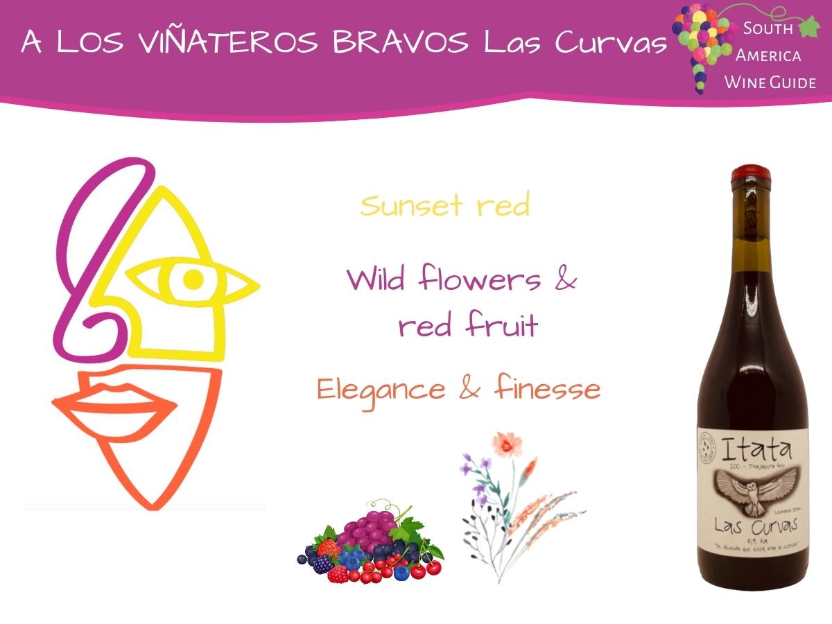 A los Viñateros Bravos Las Curvas Cinsault wine from Itata, Chile produced by winemaker Leo Erazo