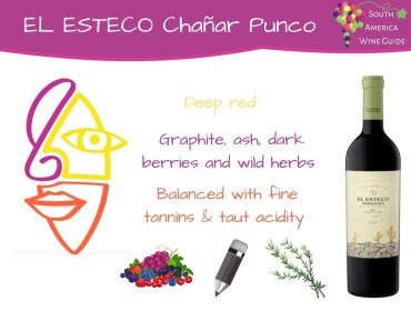 El Esteco Chañar Punco wine tasting note by Amanda Barnes