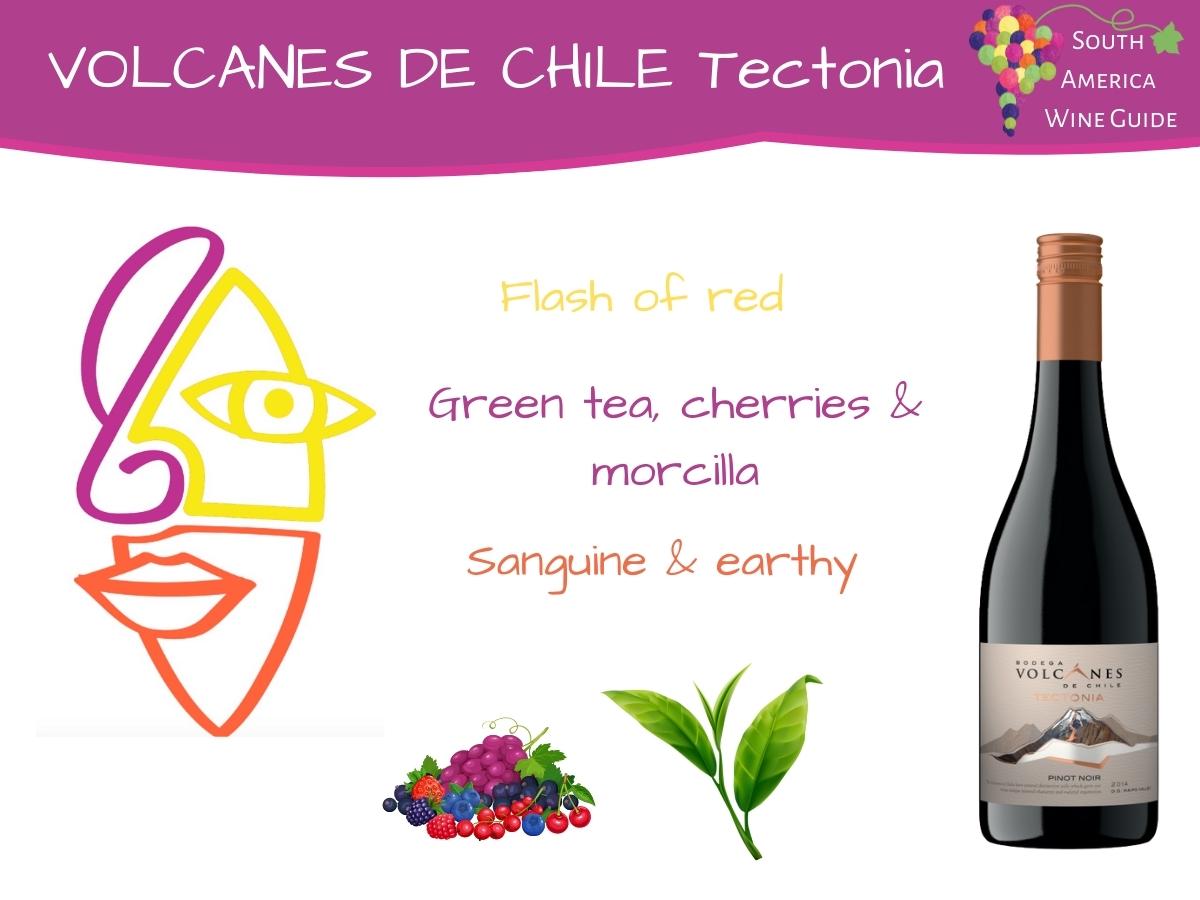 Volcanes de Chile Tectonia Pinot Noir wine from Bio Bio, Chile produced by winemaker Pilar Diaz