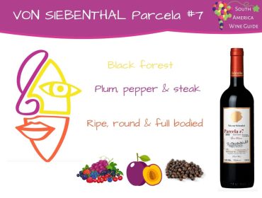 Von Siebenthal Parcela #7 wine from Panquehue, Chile produced by winemaker Stefano Gandolini