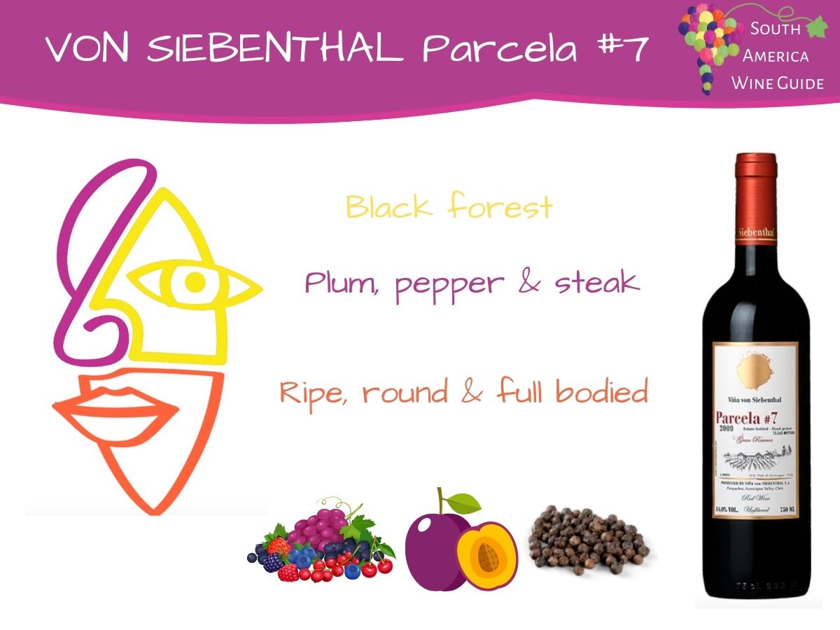Von Siebenthal Parcela #7 wine from Panquehue, Chile produced by winemaker Stefano Gandolini
