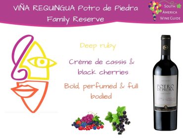 Viña Requingua Potro de Piedra Family Reserve wine tasting note by Amanda Barnes