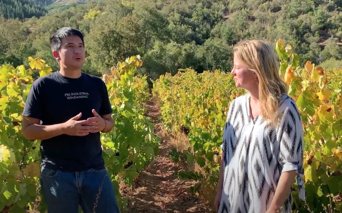 Christian Sepúlveda, winemaker at Longavi and Bouchon Family Wines in Chile, talks about old vines in Maule and Itata
