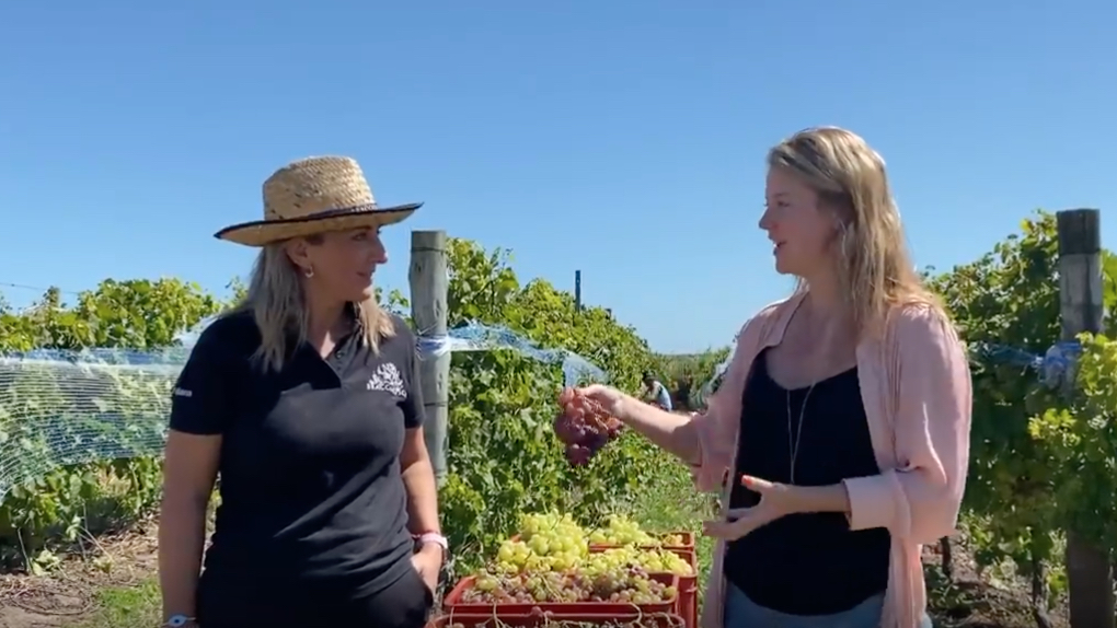 Amanda Barnes interviews Fabiana Bracco at Bracco Bosca winery in Uruguay