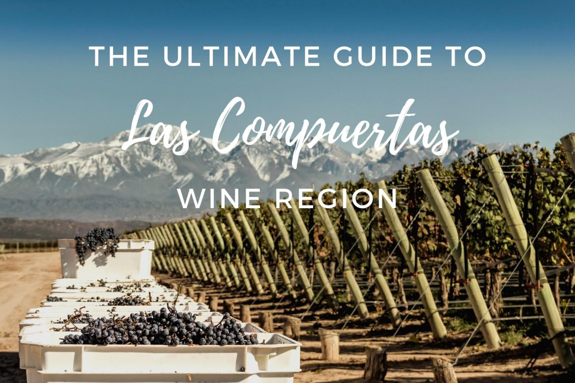 Guide to Las compuertas wine region in Lujan de Cuyo, Argentina. By Amanda Barnes