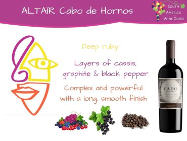 Altair Cabo de Hornos wine tasting note by Amanda Barnes