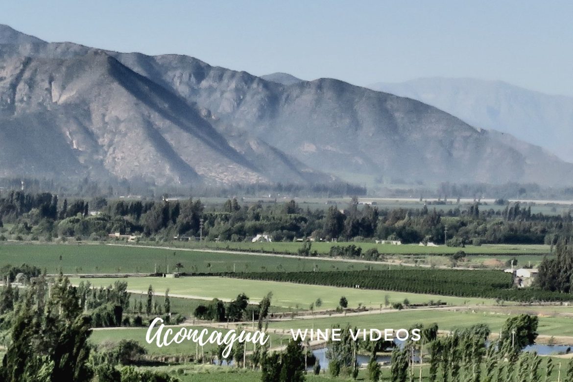 Video guide to the wine region of Aconcagua in Chile with Franscisco Baettig at Errazuriz and Mauro Von Siebenthal.