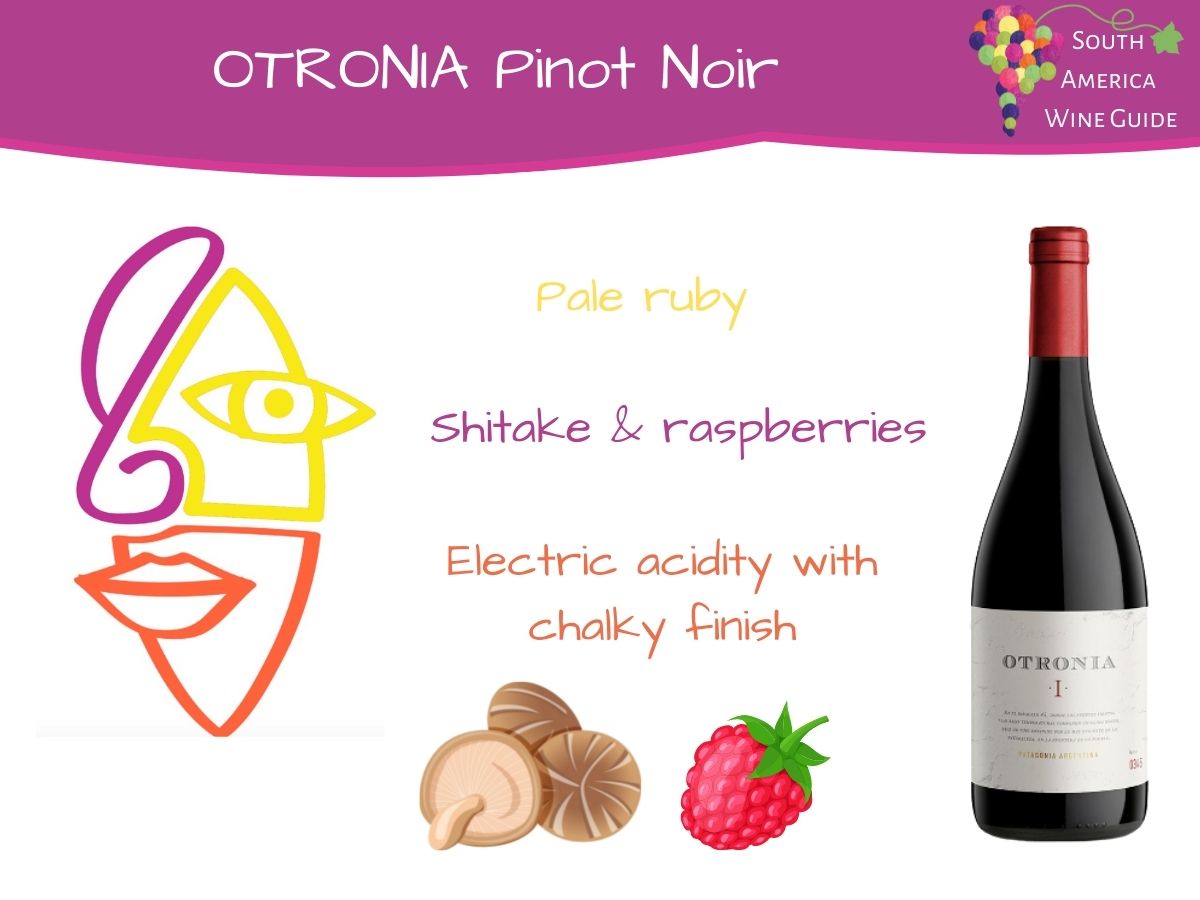 Otronia Pinot Noir from Chubut in Patagonia Argentina