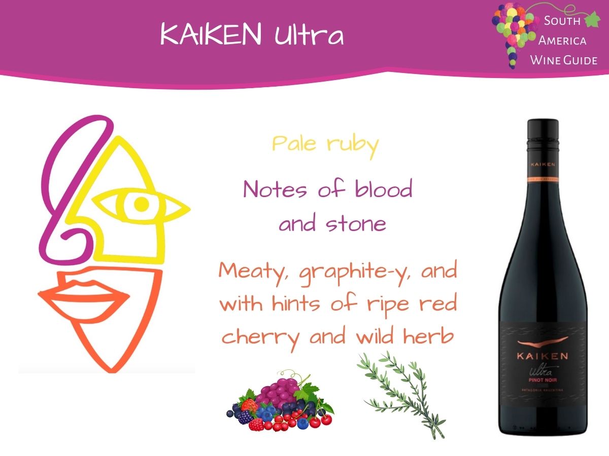 Kaiken Ultra Pinot Noir wine from Neuquen in Argentina