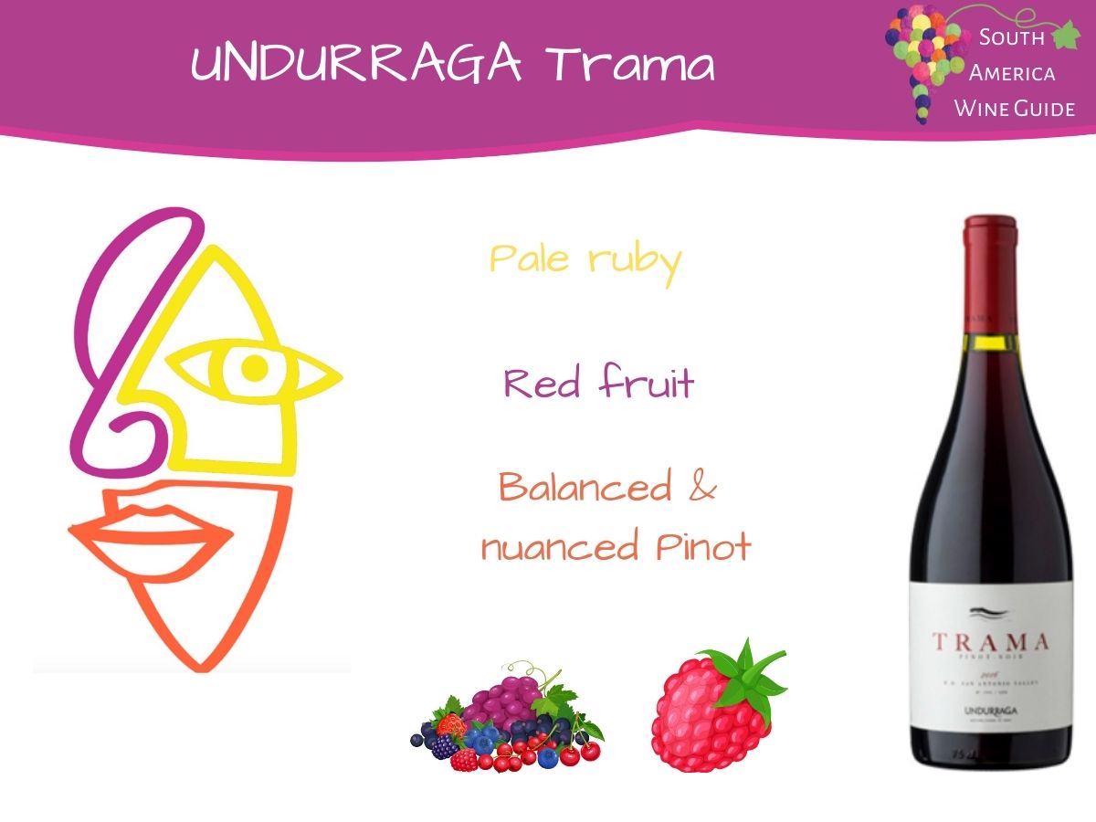 Wine tasting note for Undurraga Trama Pinot Noir from San Antonio in Chile