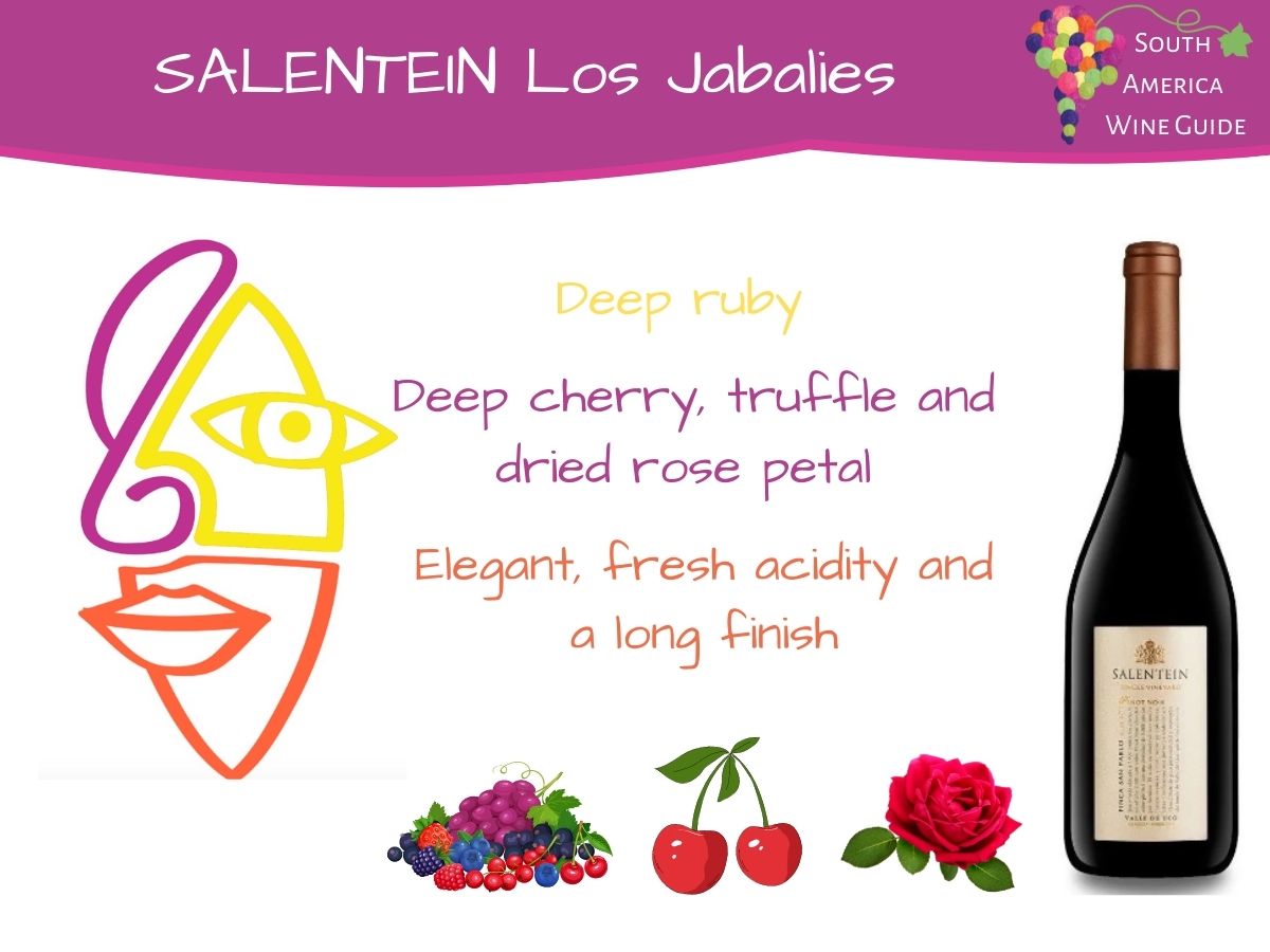 Wine tasting note for Salentein Single Vineyard Los Jabalíes Pinot Noir 2016 from Argentina