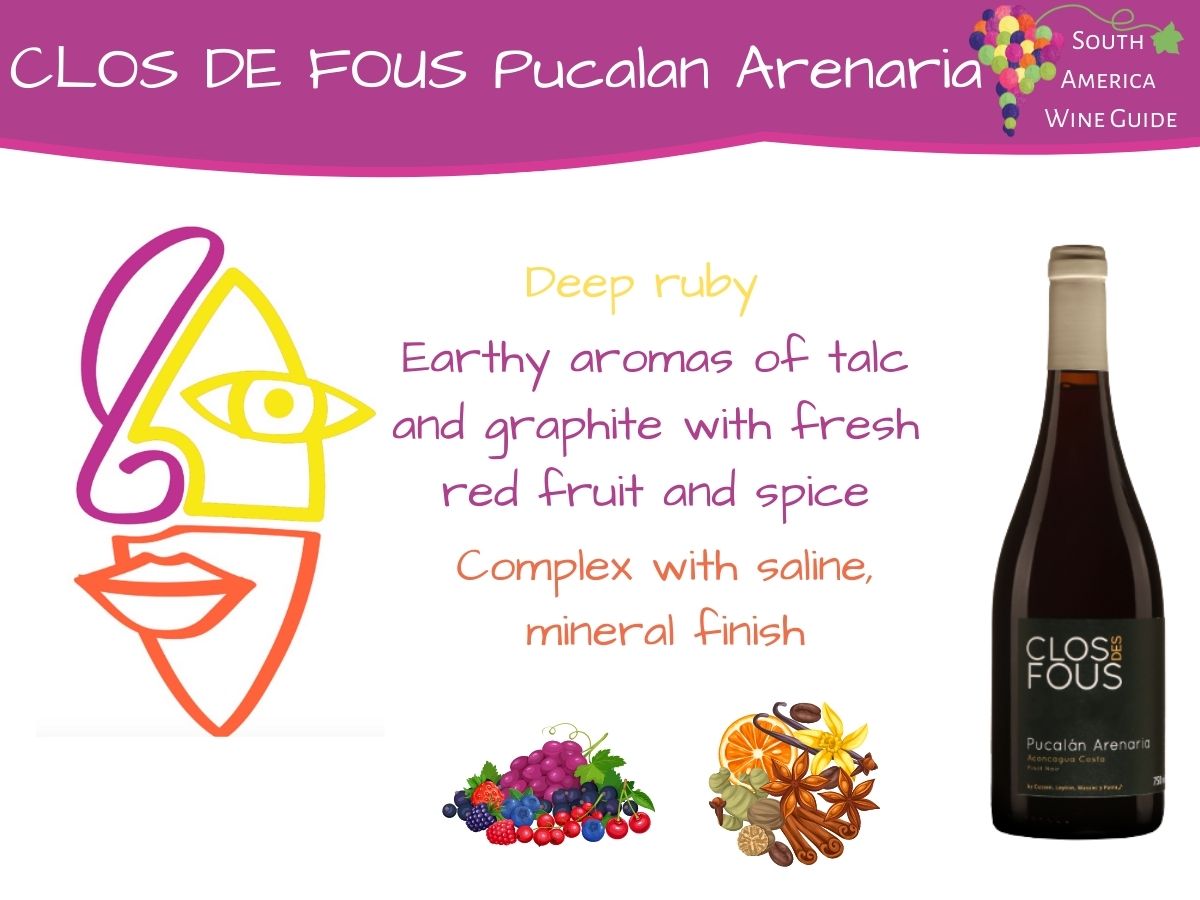 Wine tasting note of Clos De Fous Pucalán Arenaria Pinot Noir from Chile
