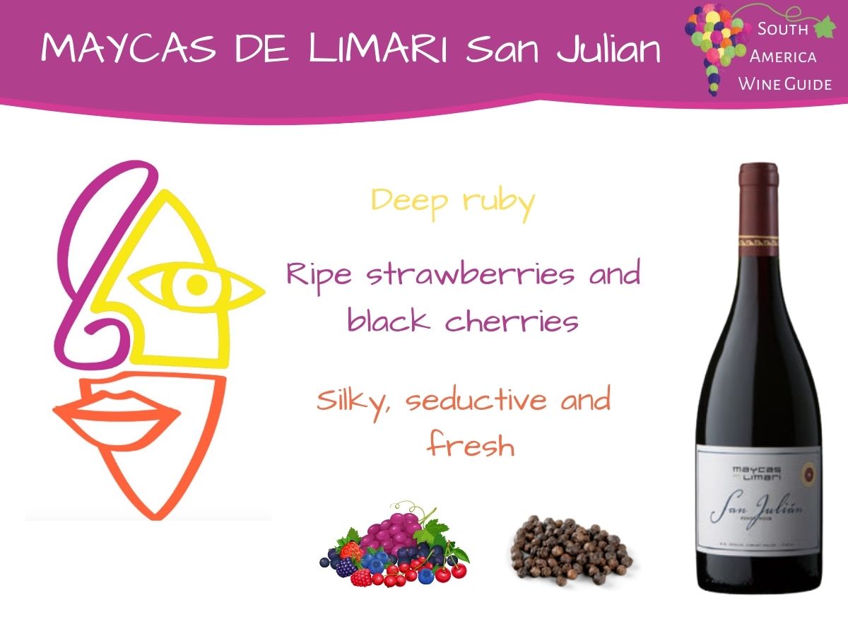 Maycas de Limari San Julian Pinot Noir wine tasting note