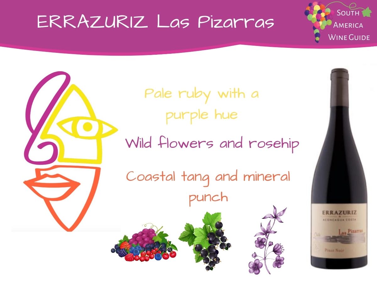 Errazuriz Las Pizarras Pinot Noir from Aconcagua costa in Chile